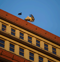 Steinhaus